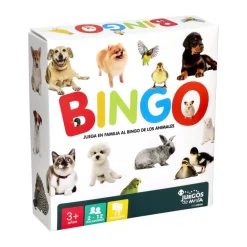 Bingo 12 Tableros de Cartón