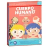 Kit de cuerpo humano magnético