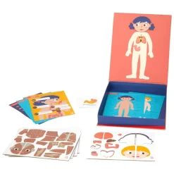Kit de cuerpo humano magnético