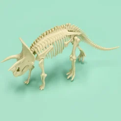 Kit de excavación de fósil dinosaurios