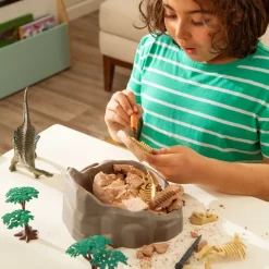 Kit de excavación de fósil dinosaurios