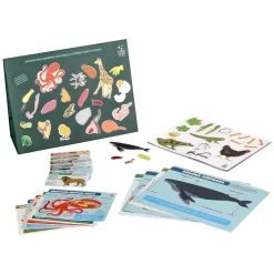 Kit magnético “Mundo Animal”