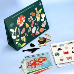 Kit magnético “Mundo Animal”