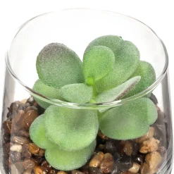 Maceta de vidrio con cactus