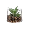 Maceta de vidrio con cactus