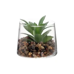 Maceta de vidrio con cactus