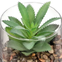 Maceta de vidrio con cactus