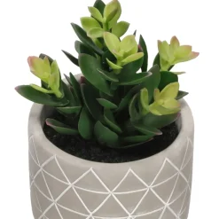 Maceta Terracota Cactus 15,5x21 cm