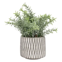 Maceta texturada con planta