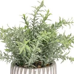 Maceta texturada con planta