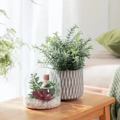 Maceta texturada con planta