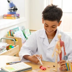 Modelo a escala del cuerpo humano
