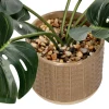 Planta con maceta 18x34 cm