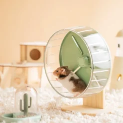 Rueda de ejercicio para mascotas pequeñas