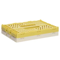 Set 2 canastos plegables de plástico 22x14,5x9 2 litros
