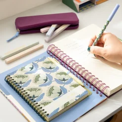 Set de 5 destacadores pastel