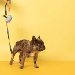 Set de rollos con bolsas para paseo