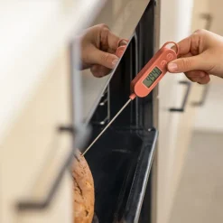 Termómetro digital de cocina