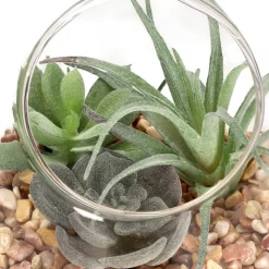 Terrario de vidrio con cactus 12x12 cm
