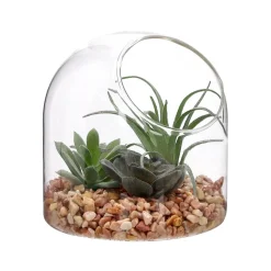 Terrario de vidrio con cactus 12x12 cm