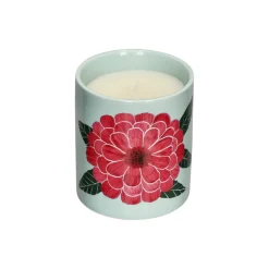 Vela aromática frutos rojos con envase de cerámica